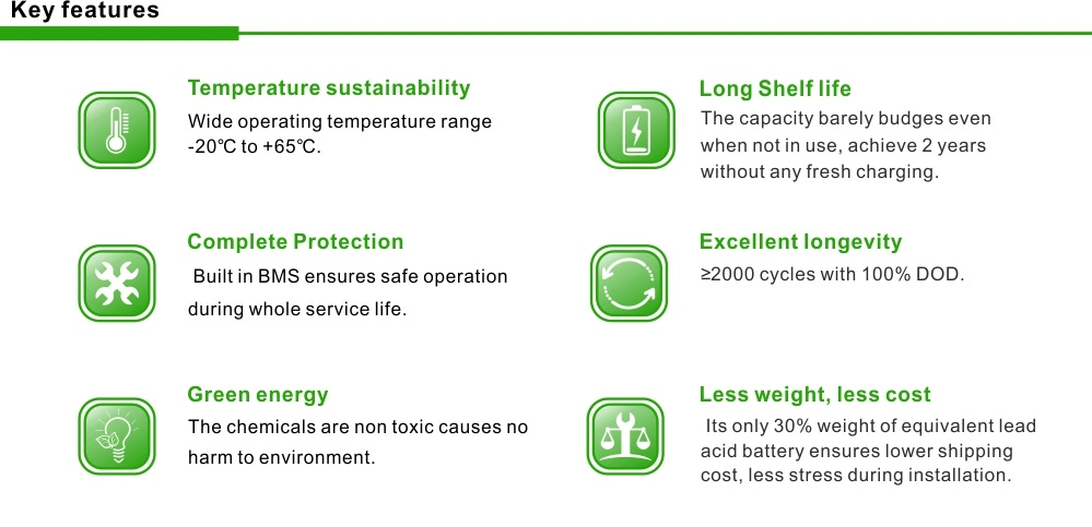 Top Supplier LiFePO4 12V50ah Li Ion Battery for Energy Storage System