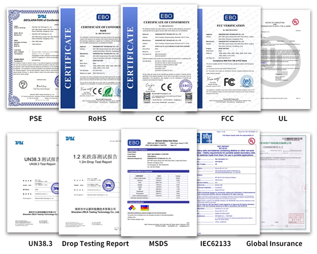 Stable Performance Wholesale LiFePO4 Battery OEM Battery Electric Bike Cells