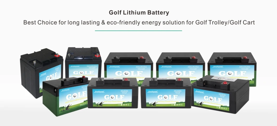 Factory Price 12V 24ah LiFePO4 Battery Pack Lithium Battery Solar Battery Lithium Ion Battery for Golf Carts or Solar System