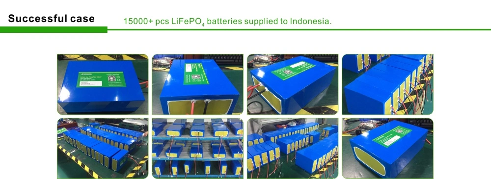 Top Supplier LiFePO4 12V50ah Li Ion Battery for Energy Storage System