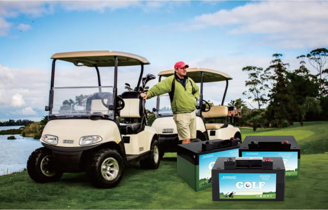 Factory Price 12V 24ah LiFePO4 Battery Pack Lithium Battery Solar Battery Lithium Ion Battery for Golf Carts or Solar System