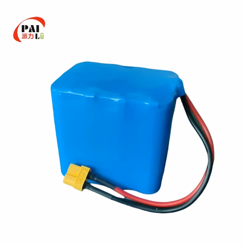Hot-Selling Smart Lithium Battery Module Suitable for Medical Equipment, Agv, Robots, Ships, Power Tools, Toys, Consumer Electronics Inr18650 Lithium Battery