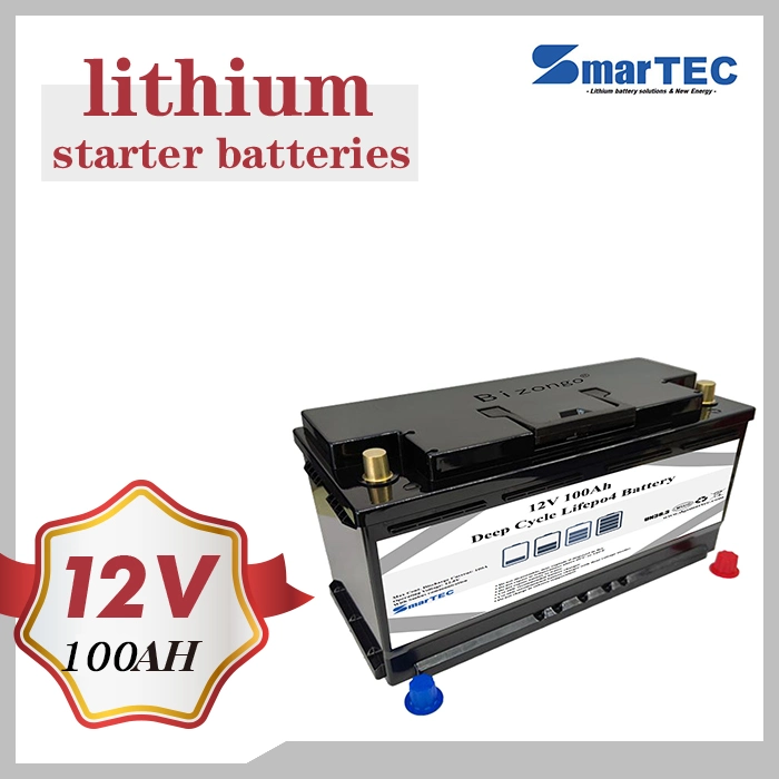 OEM/ODM 12V 200ah Low Self-Discharge LiFePO4/Lithium Battery for RV Camper Forklift