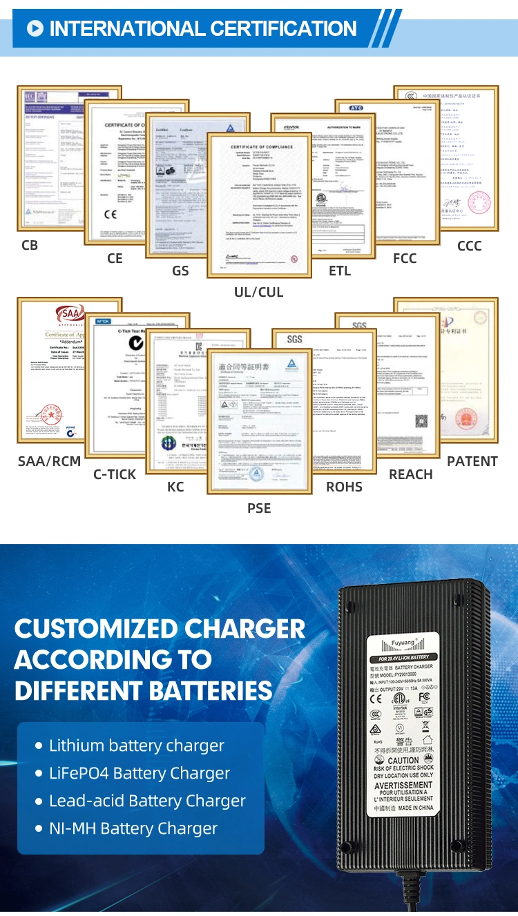 Fuyuang High Quality 42V Lithium 36V 5A Golf Cart Battery Charger