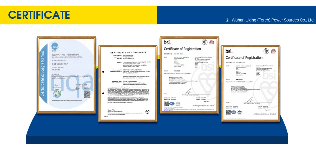 Top Rated Premium Quality LiFePO4 Battery Icpp783495 3.7V 3.2V with Excellent Safety Characteristics