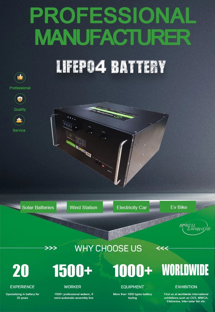 OEM Rechargeable Deep Cycles 48V 100ah LiFePO4 Solar Batteries Pack 5kw Solar System with BMS Battery Backup for Solar/Wind Energy Storage/Agv/EV