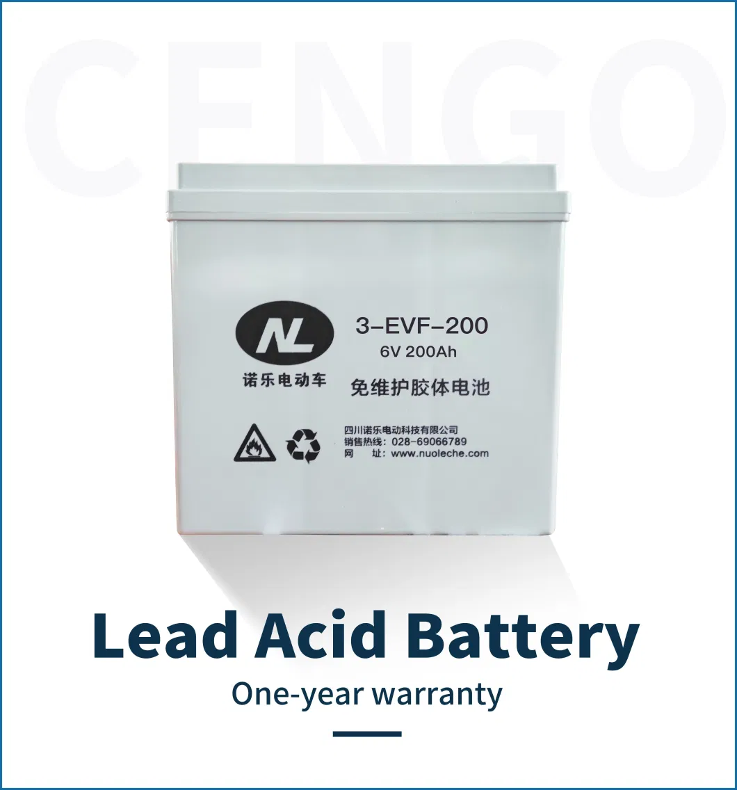 New Lifted Lead Acid/Lithium Battery 48V/72V 2, 4, 6, 8, 10 Seats 12/14inches Tyre Hunting Electric Golf Cart