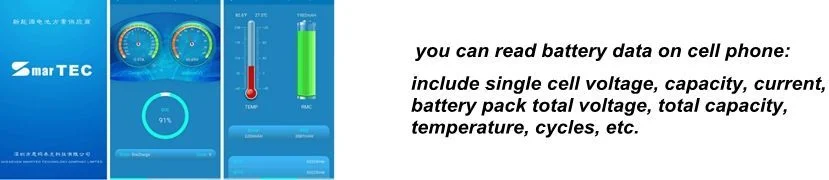 Factory ODM&OEM LiFePO4 Battery 12V 100ah 150ah 200ah 250ah 300ah for Electric RV Marine Golf Cart Home Energy Solar Storage with Bluetooth APP&Self-Heating