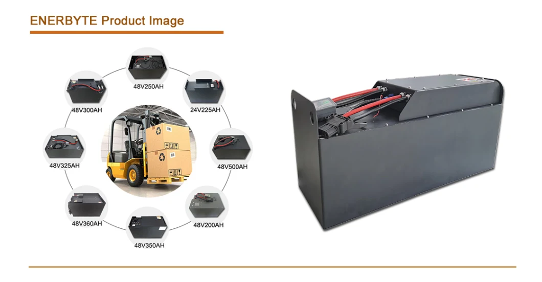 OEM Rechargeable Lithium Battery/Li-ion Battery/LiFePO4 Battery for Forklift/E-Traction 48V 300ah