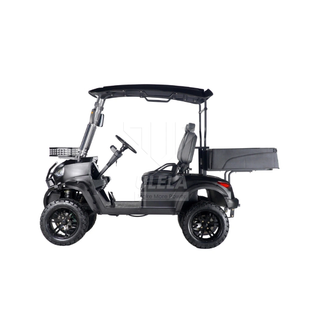 Ulela Custom Golf Cart Dealership Integal Rear Axle Golf Cart 2 Passenger China 2 Seater 36V Lithium Ion Battery for Golf Cart