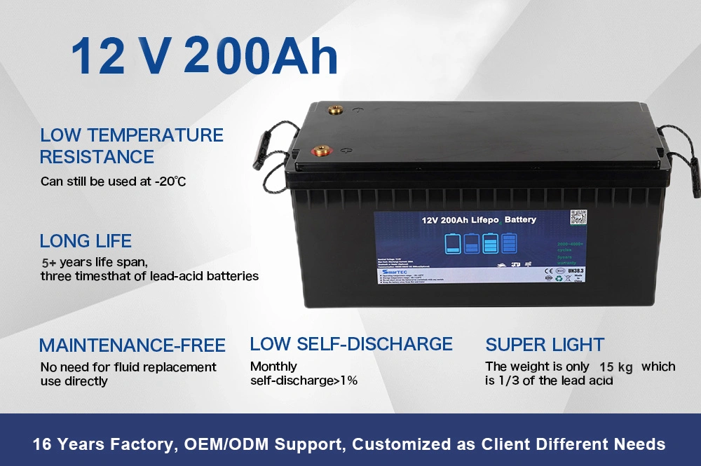 Factory ODM&OEM LiFePO4 Battery 12V 100ah 150ah 200ah 250ah 300ah for Electric RV Marine Golf Cart Home Energy Solar Storage with Bluetooth APP&Self-Heating