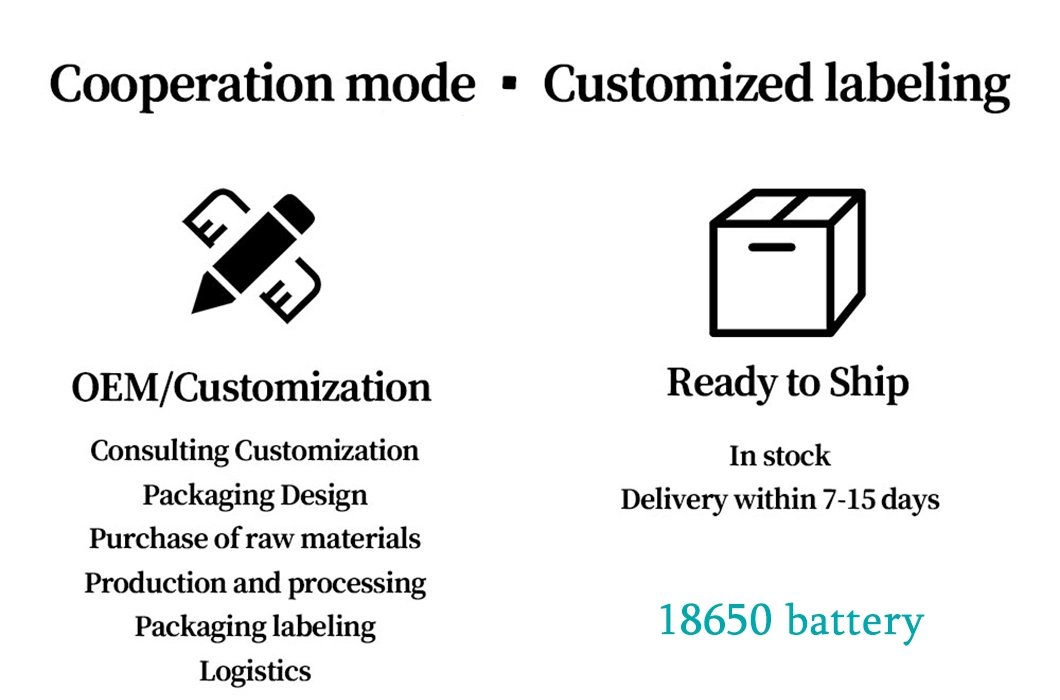 Stable Performance Wholesale LiFePO4 Battery OEM Battery Electric Bike Cells