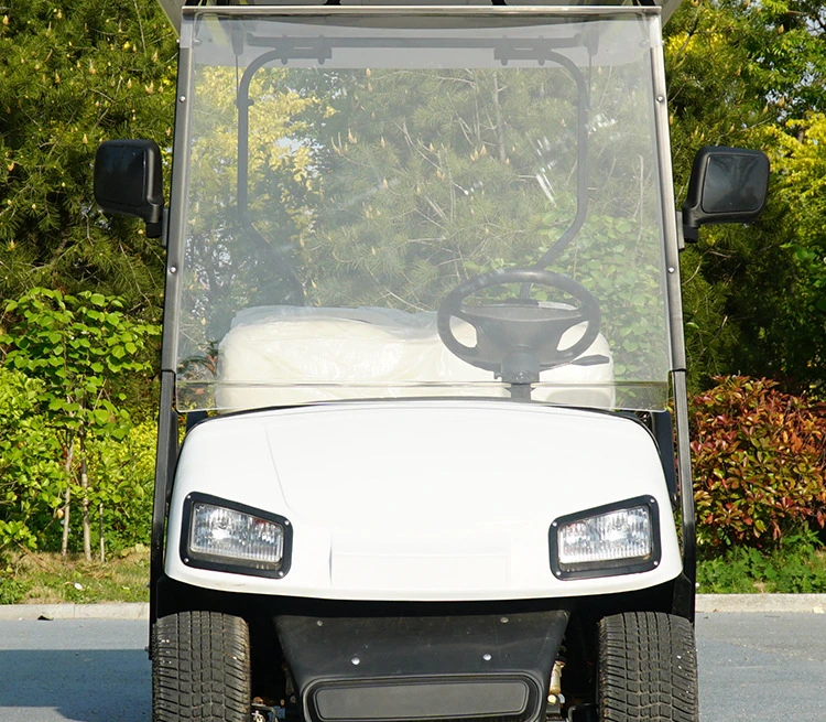 Electric Carts for Sale Battery Chargers 36 Volt Umbrella Push Gas-Golf-Carts Disabled Golf Cart