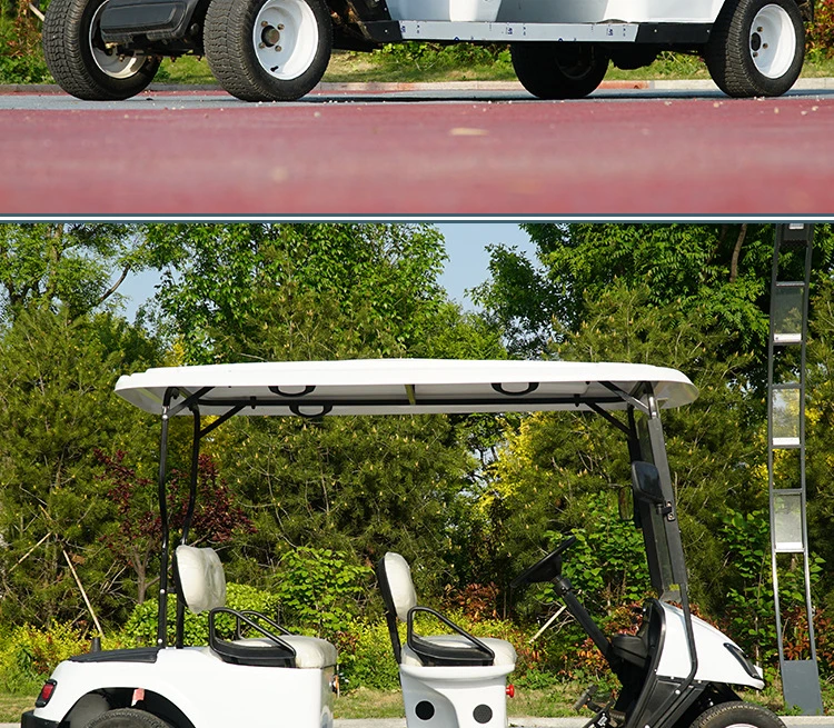 Electric Carts for Sale Battery Chargers 36 Volt Umbrella Push Gas-Golf-Carts Disabled Golf Cart