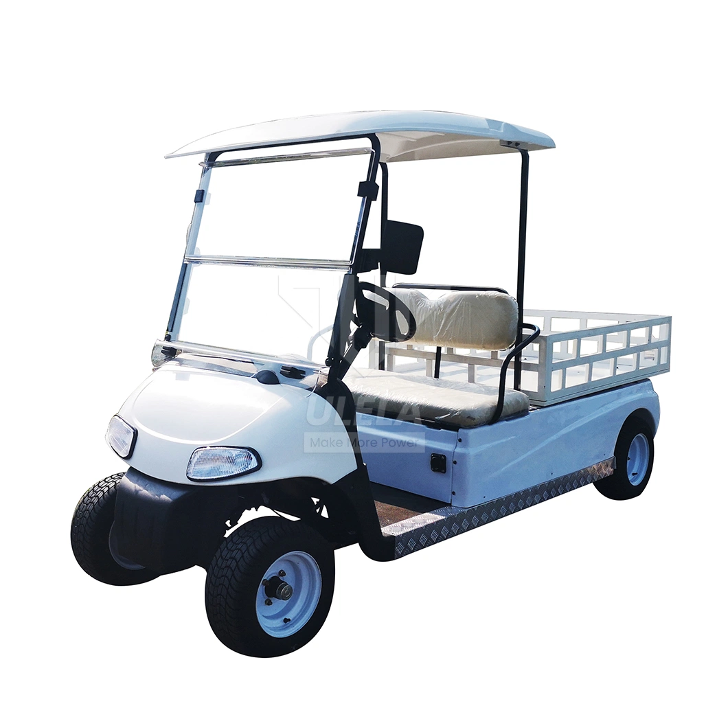 Ulela Custom Golf Cart Dealership Integal Rear Axle Golf Cart 2 Passenger China 2 Seater 36V Lithium Ion Battery for Golf Cart