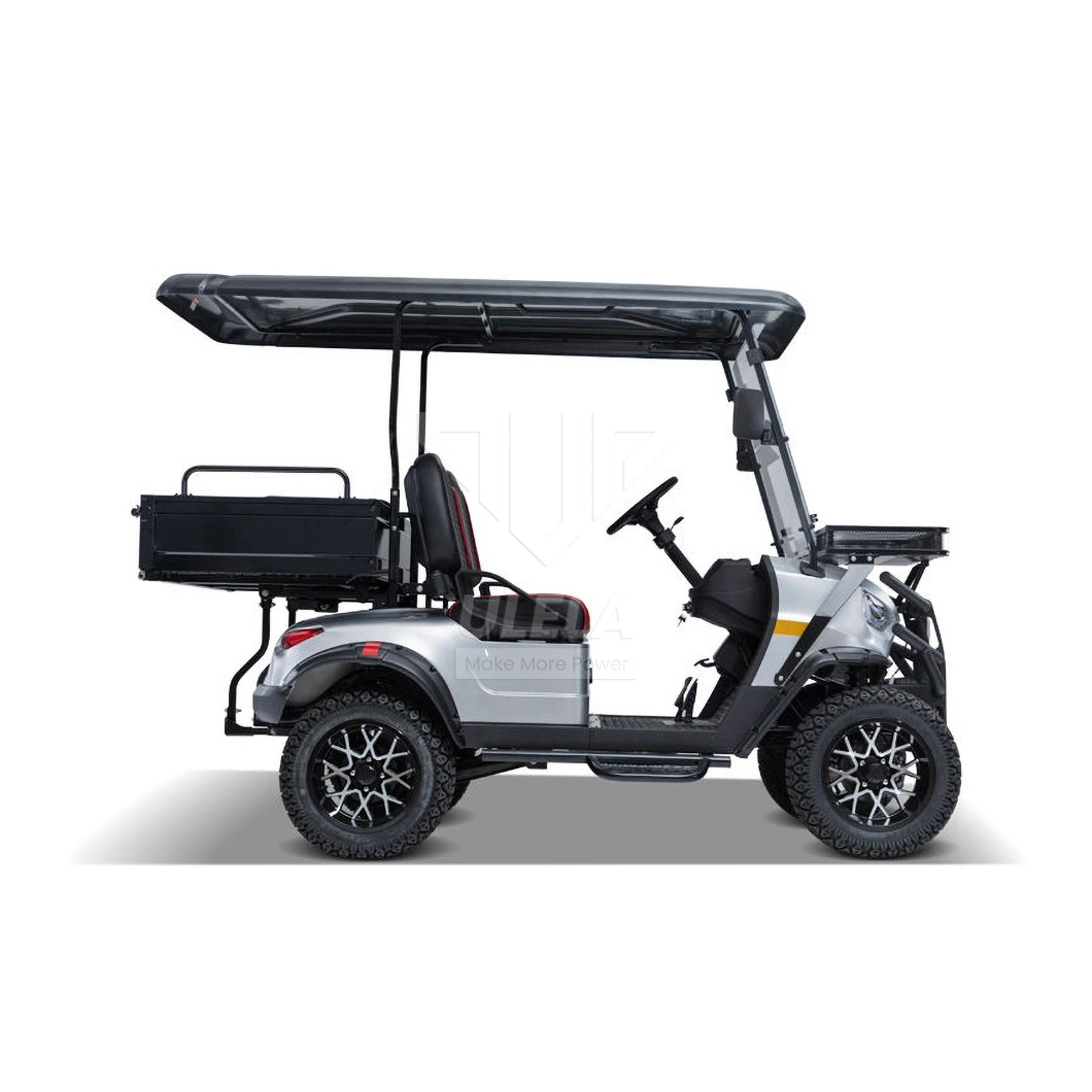 Ulela Custom Golf Cart Dealership Integal Rear Axle Golf Cart 2 Passenger China 2 Seater 36V Lithium Ion Battery for Golf Cart