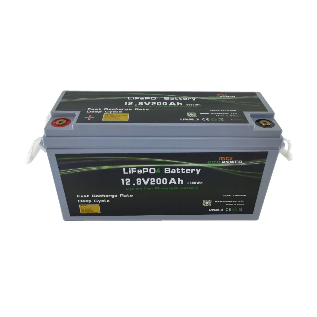 12V 24V 36V 48V 72V 100ah 200ah 50ah 150ah 250ah 80ah LiFePO4 Factory Cheap Golf Cart Vehicle Lithium Battery Pack LiFePO4 Energy Storage Battery LFP