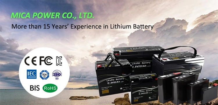 Lithium Ion Battery 12V 12.8V 100ah LiFePO4 /LFP/Li Ion Battery Cells and Packs for Energy Storage/Solar Energy Storge/RV/Marine/Boat with Bluetooth APP Monitor