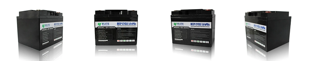 Elite Factory OEM Lithium Battery Pack 12V 24V 48V 72V 60ah 100ah Li-ion LiFePO4 Battery