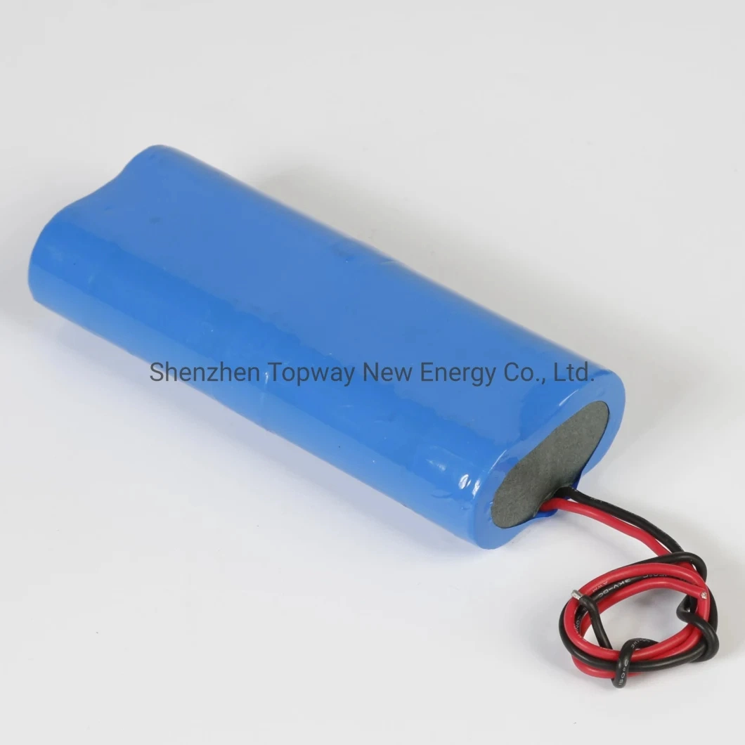 48V 60V 72V 10ah 20ah 30ah 50ah 70ah 90ah Agv E-Bike Battery Pack Customizable 18650 Lithium-Ion Battery for Electric Tricycles Electric Scooters Agvs