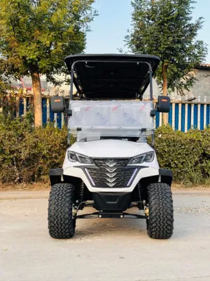 Paraurti posteriore 4X4 a benzina con batteria al litio Golf cart elettrico a quattro posti a 2 posti usato