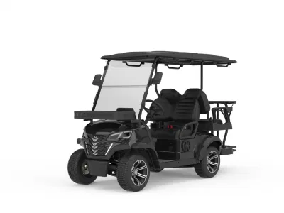 Factory Golf Buggy Prezzo batteria da golf da 48 V. Carrelli elettrici da golf in vendita