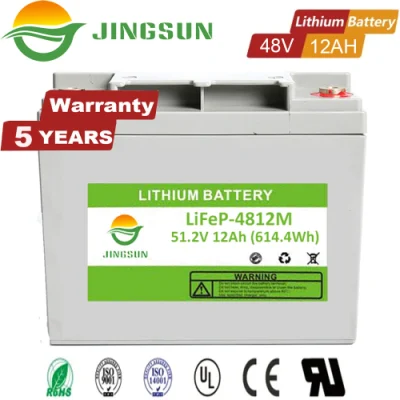 Sicurezza superiore durata ciclo più lungo Solar Lithium Ion LiFePO4 profondo Spegnere e riaccendere la batteria