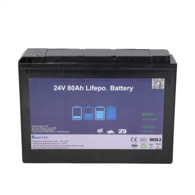 LiFePO4 batteria RV Golf Cart Home Solar Energy Storage System Batterie da 12 V 24 V 36 V 48 V 80 ah 100 ah al litio ferro fosfato Batteria