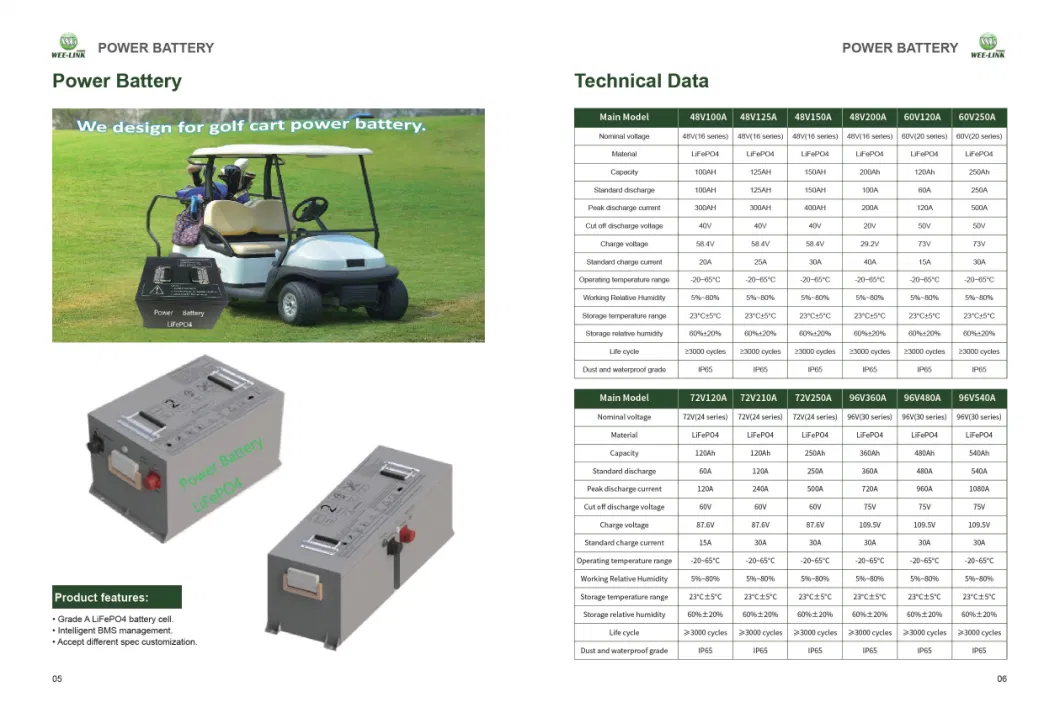 for Solar Panel/Boat/Golf-Cart/Inverter/Power-Tool/Car/UPS 48V 200ah LiFePO4 Power Battery