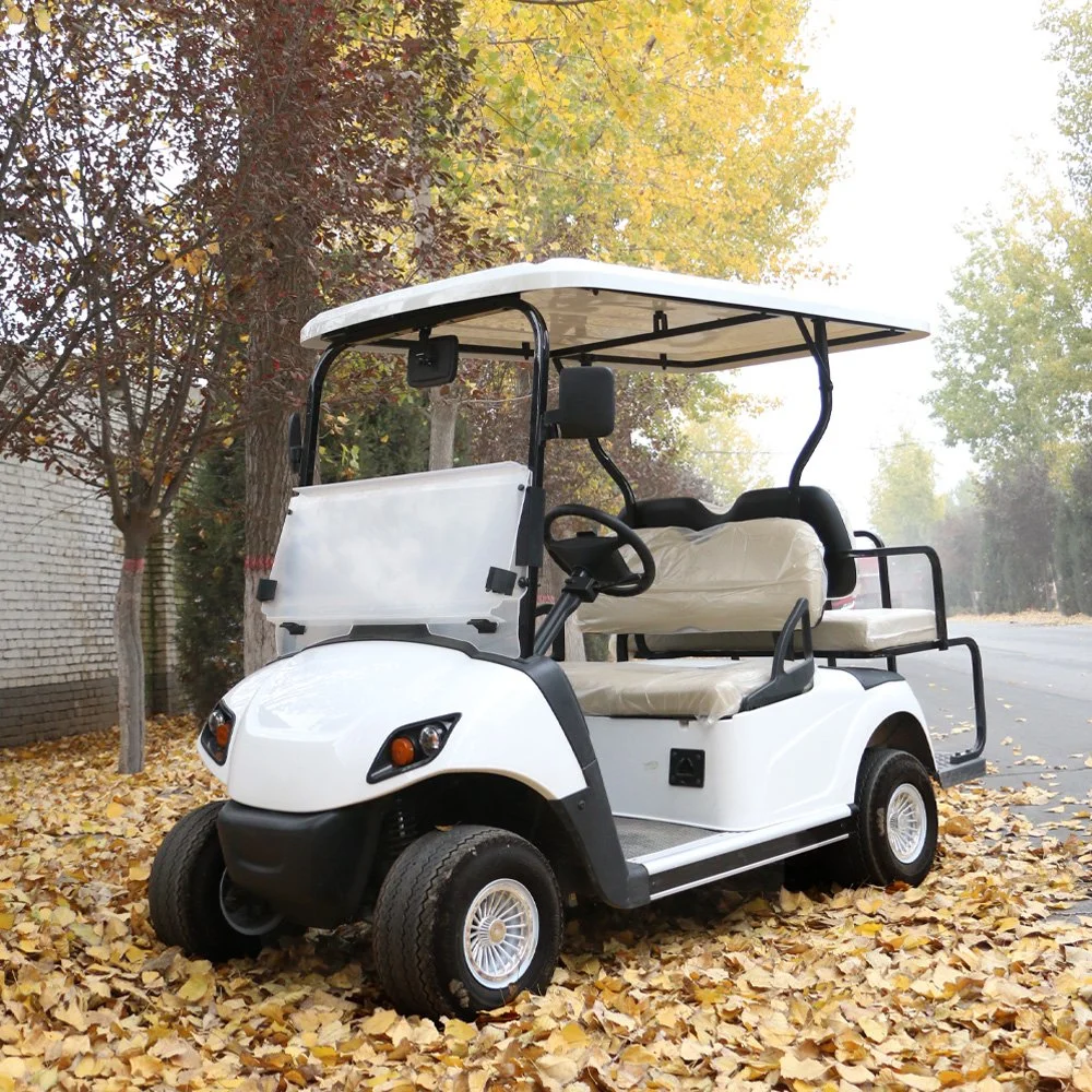 Hcd New Type Golf Cart 4 Passengers with Folded Glass and LiFePO4 Battery