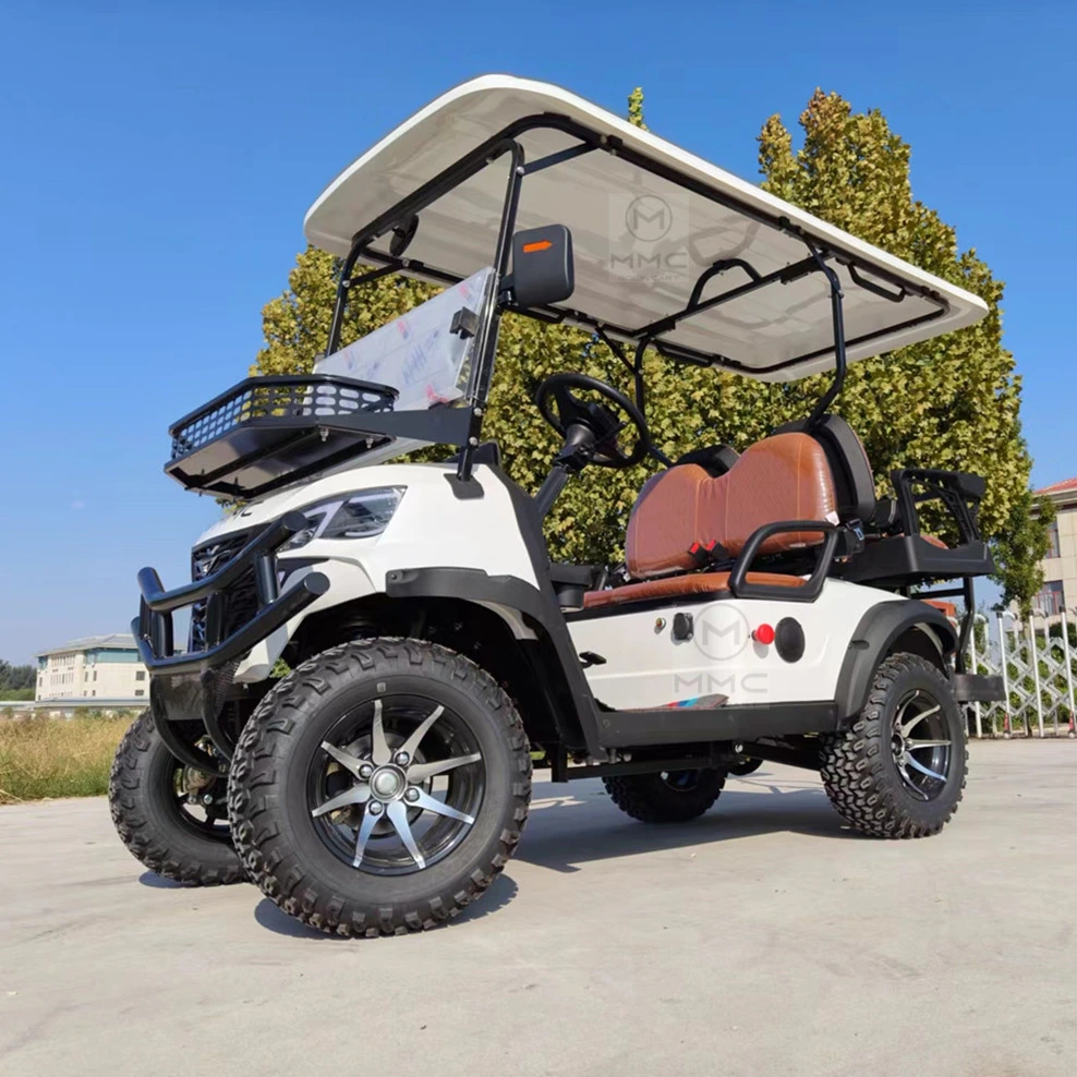 Best Price Lithium Battery Golf Cart 48V Adults Scooter Solar Panels Powered 6/4 Seater off Road Beach Buggy Electric Golf Cart