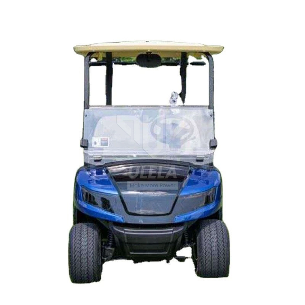 Ulela Custom Golf Cart Dealership Integal Rear Axle Golf Cart 2 Passenger China 2 Seater 36V Lithium Ion Battery for Golf Cart