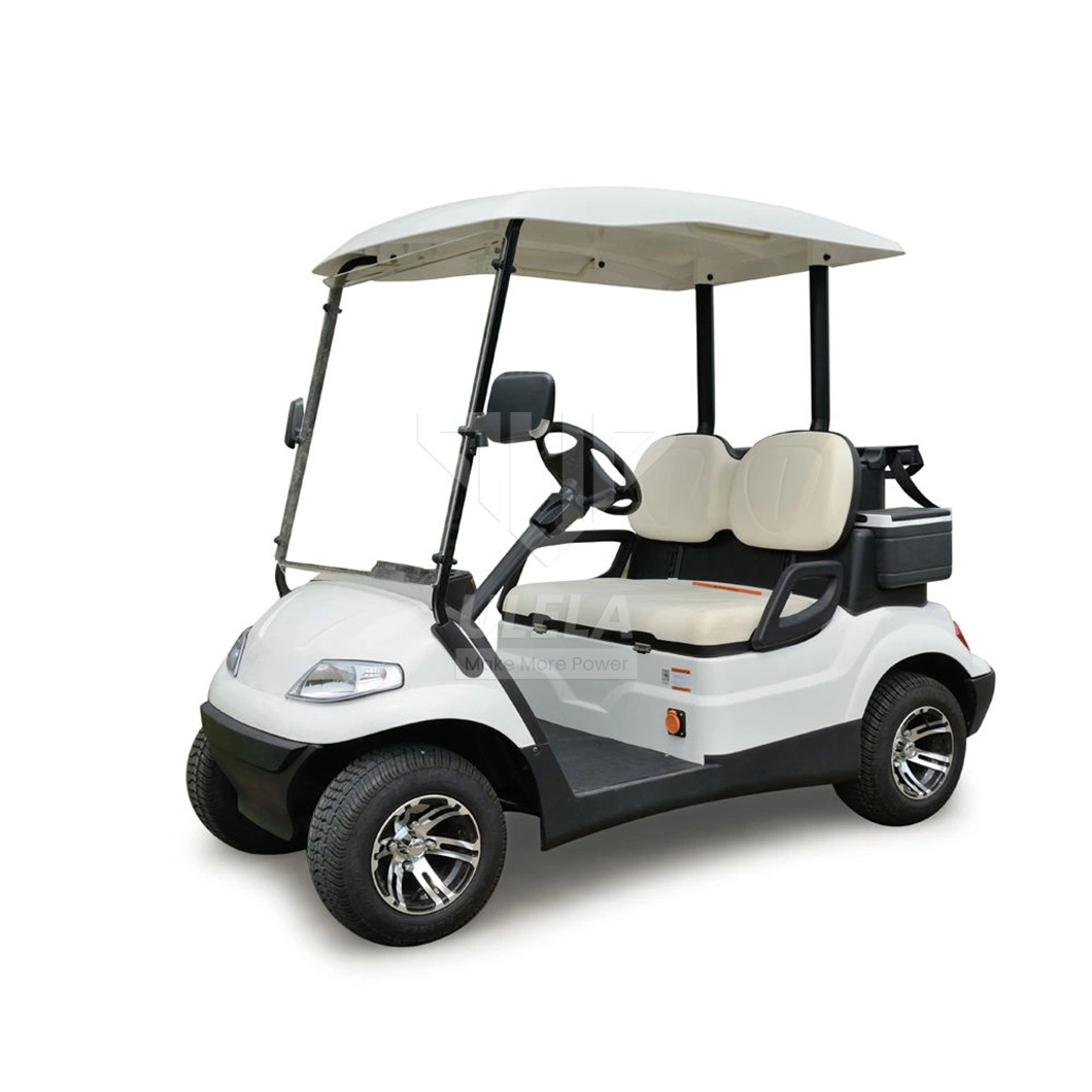 Ulela Largest Golf Cart Dealer Blackwhiteredgreenblue Train Golf Cart China 2 Seater 36V Lithium Battery Golf Cart