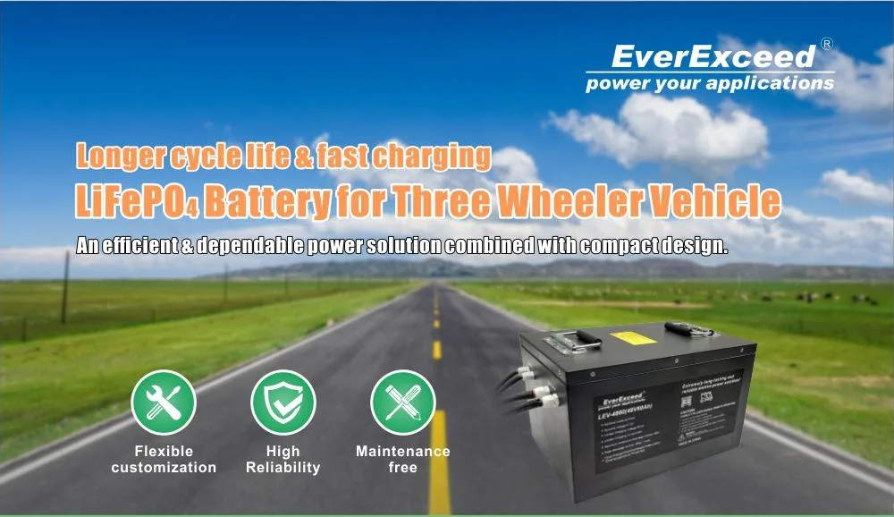 Golf Cart LiFePO4 Battery Pack 48V 60ah Three Wheeler Battery/Rechargeable Battery/Agv