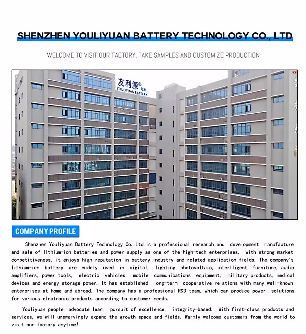 High Capacity Energy Storage Battery 18650 7.4V 8.4ah 62.16wh for Solar LED Light/RV/Storage System/Golf Cart/Yacht/Marine/Camper