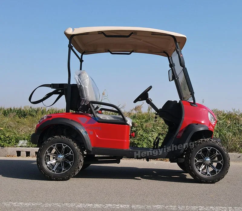 Classic 2 Seater Electric Golf Carts 48V4kw AC System Folding Golf Carts