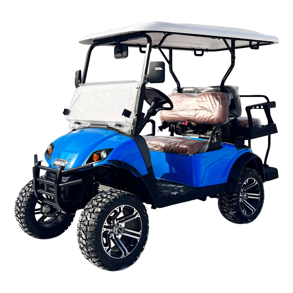 Chinese Electric 4 Wheel Drive Golf Cart Golf Buggy with LiFePO4 Battery and Charger