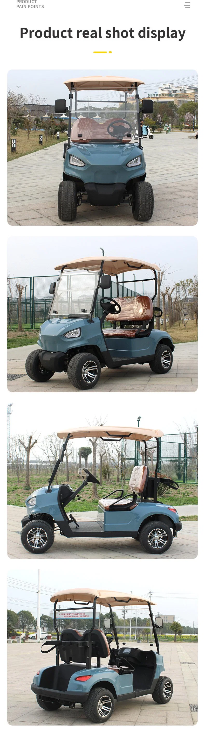 205/50-10 (Tire Diameter 460mm) 20-30 Km/H Wuhuanlong Car Electric Golf Cart