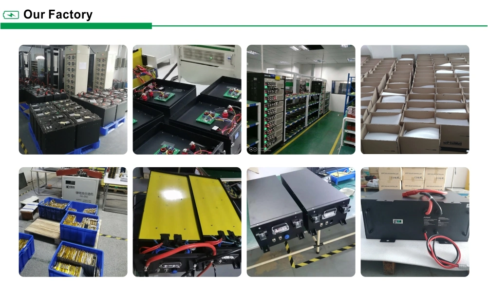 Lithium-Ion Batteries Car Everexceed Carton Box or Wooden Pallets 48V Lithium Hybrid Vehicles Battery