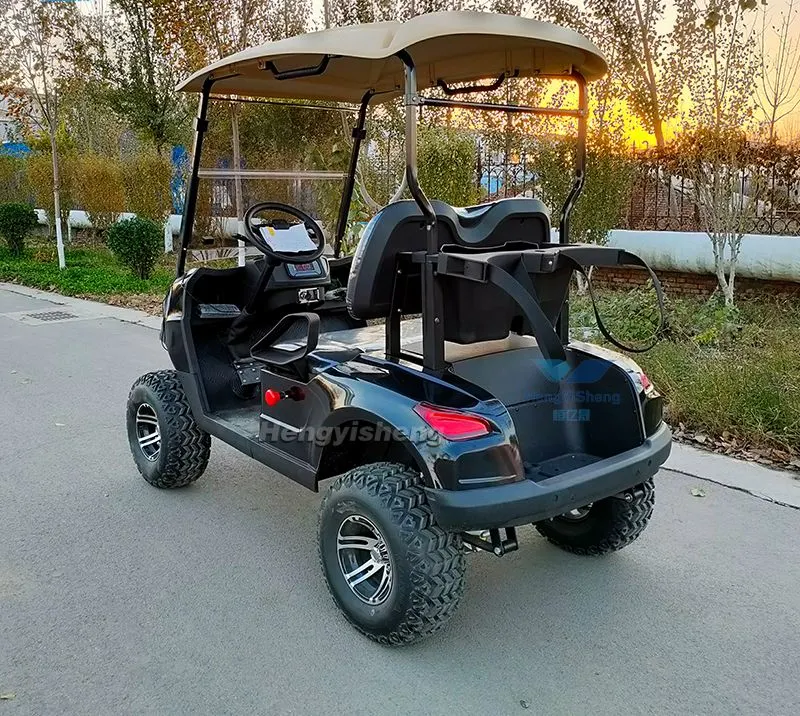 Classic 2 Seater Electric Golf Carts 48V4kw AC System Folding Golf Carts