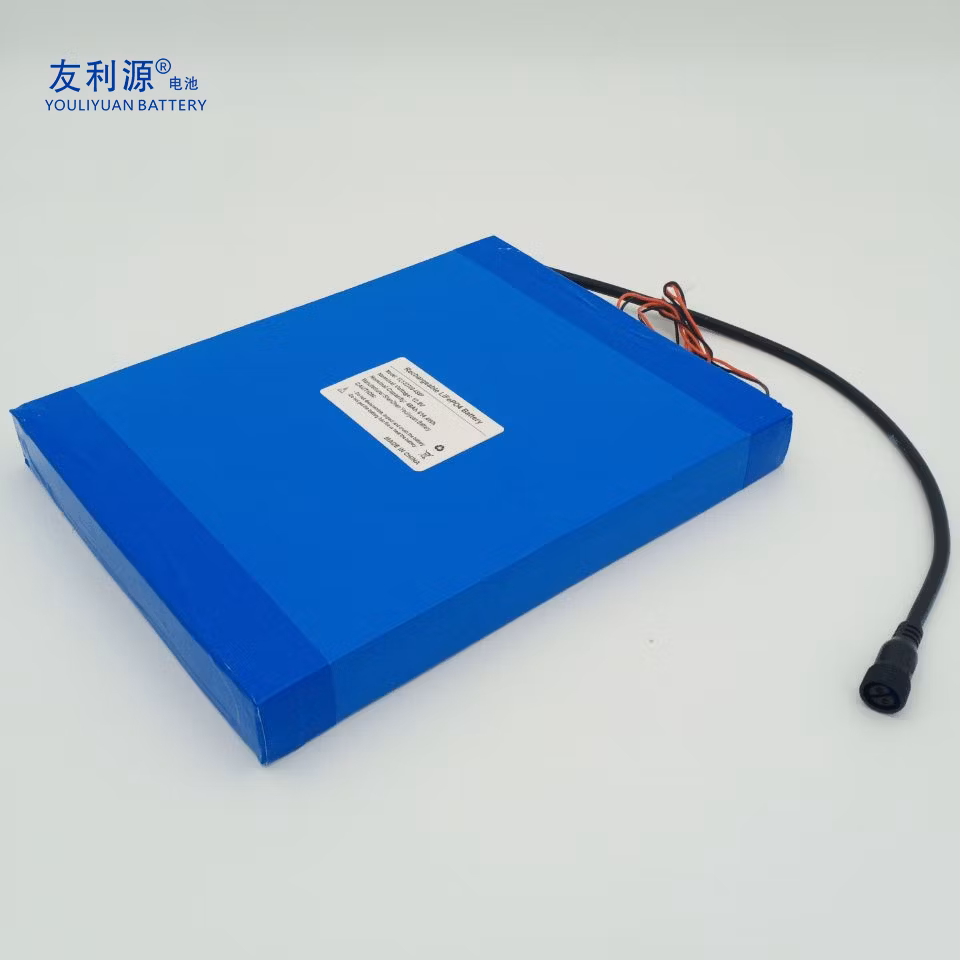 Manufacturer Storage Battery OEM ODM 24V Battery 12.8V 48ah 4s8p LFP Battery with Solar LED Light/RV/Storage System/Golf Cart/Ya Un38.3 Rose