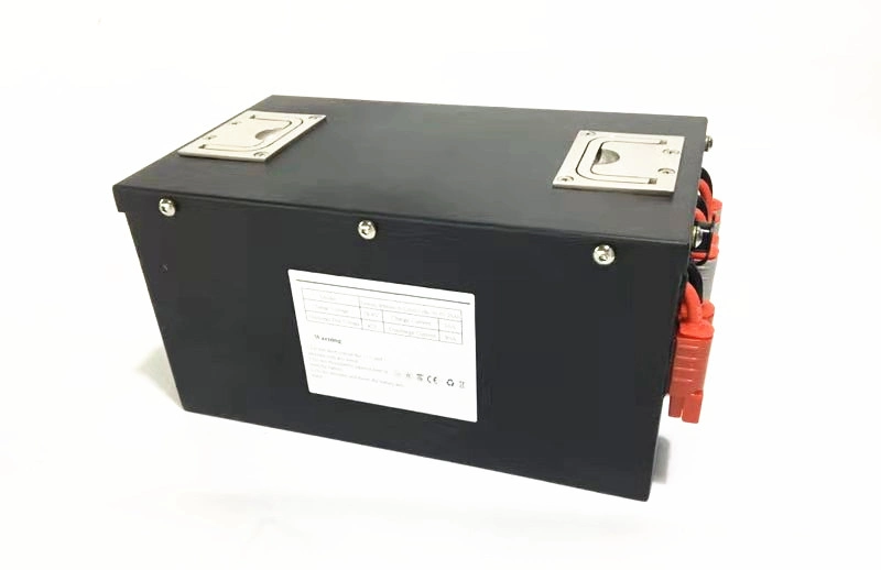 High Quality Lithium Battery for Storage Life 48V 100ah 200ah Battery with BMS