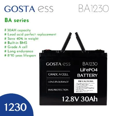 Gosta Ba1230 12V 4or5 Seater Electric EV Golf Buggy Cart Car Battery