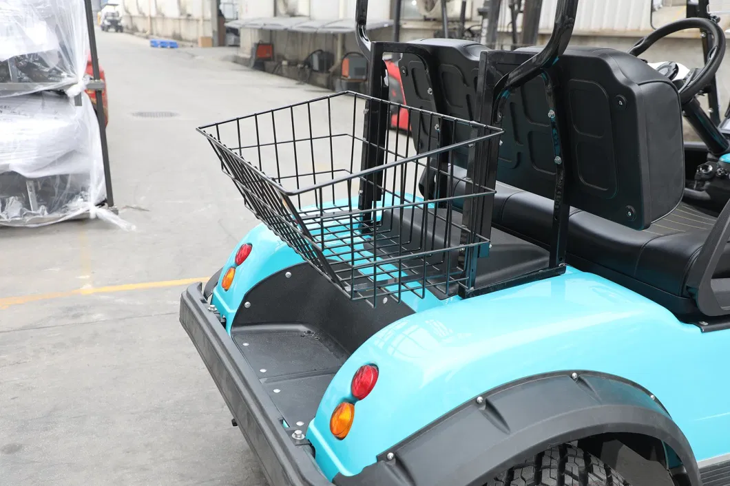 Hdk China LiFePO4 Lithium Battery Golf Cart