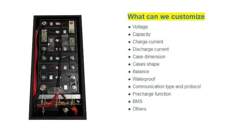 Voltage Customized 48V Lithium Ion Battery Lipo Battery Pack