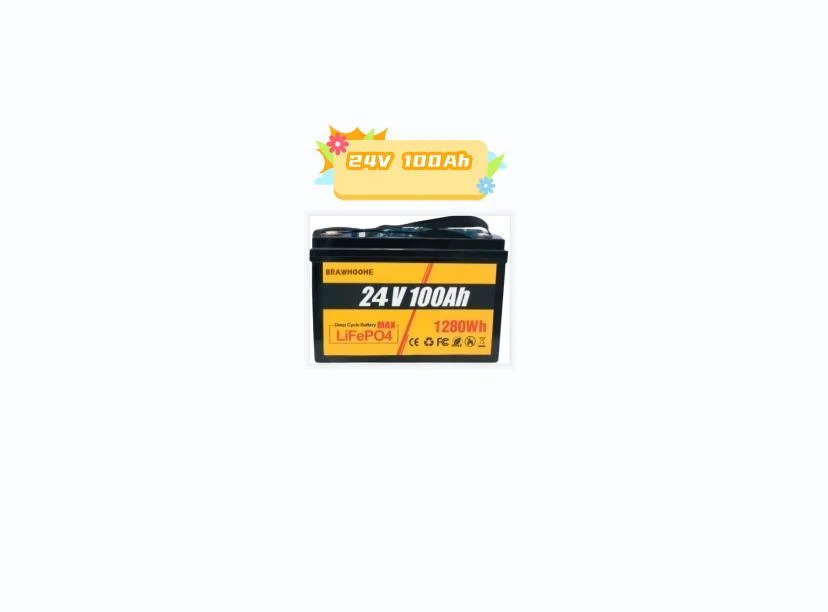 Hot Selling Wholesale 24 Volt Lithium Ion Batterie 100ah LiFePO4 Battery 24V 100ah Golf Cart Batteries