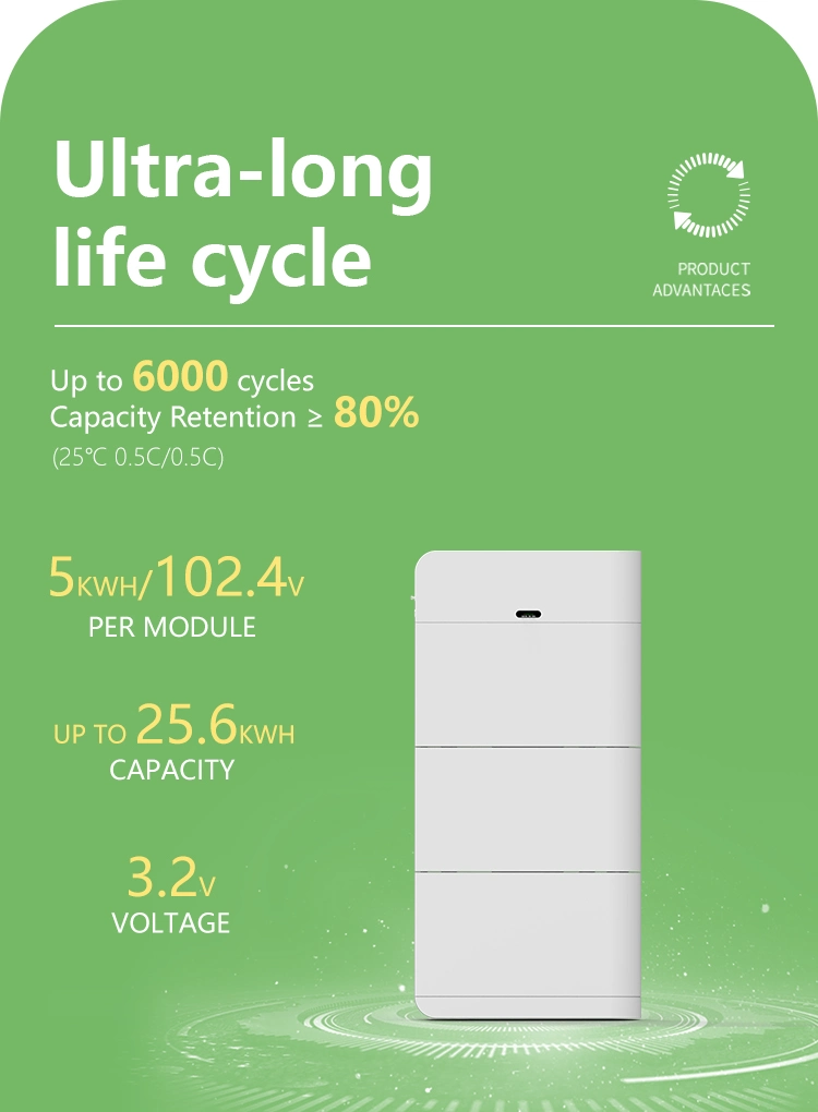 Champion Superior Hv 51.2V 200ah Energy Storae Batteries with LiFePO4 Pack Battery 6000 Cycles and CE