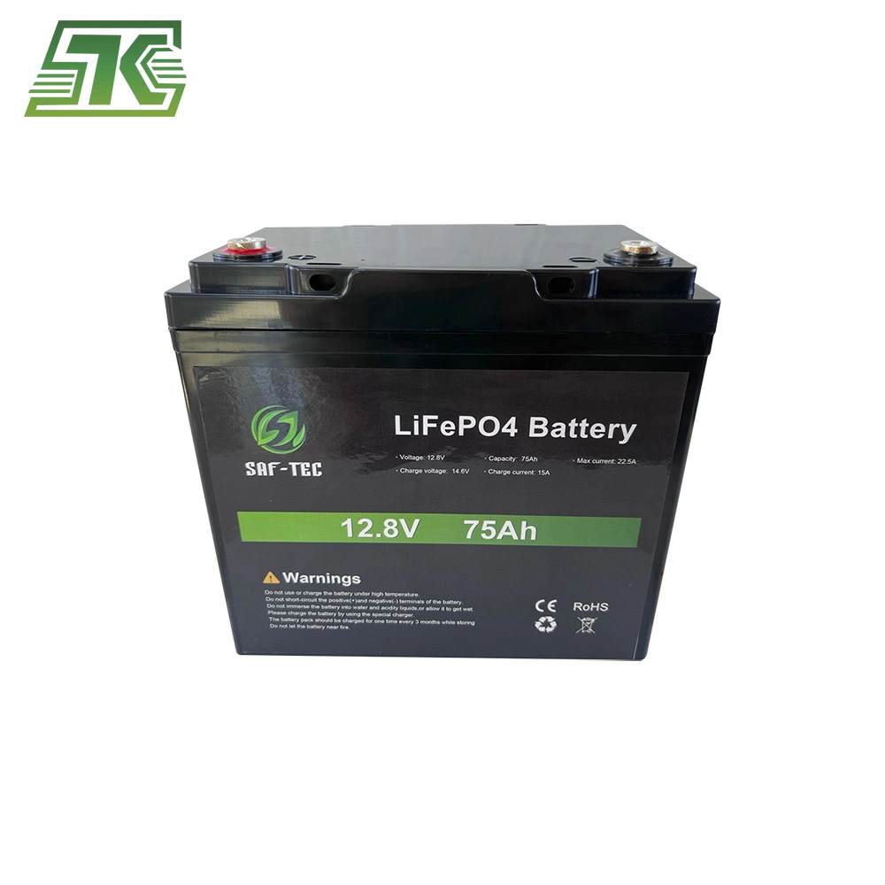 High Capacity Rechargeable 48V 50ah 75ah 100ah 120ah 150ah 200ah 260ah Solar Energy Storage Lithium UPS Lithium Ion LiFePO4 Battery for EV/RV/Ess/UPS/Agv