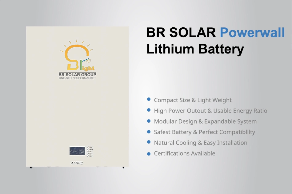 Superior 48V LiFePO4 Battery with Over 6000 Cycles Lithium Ion Storage Charger