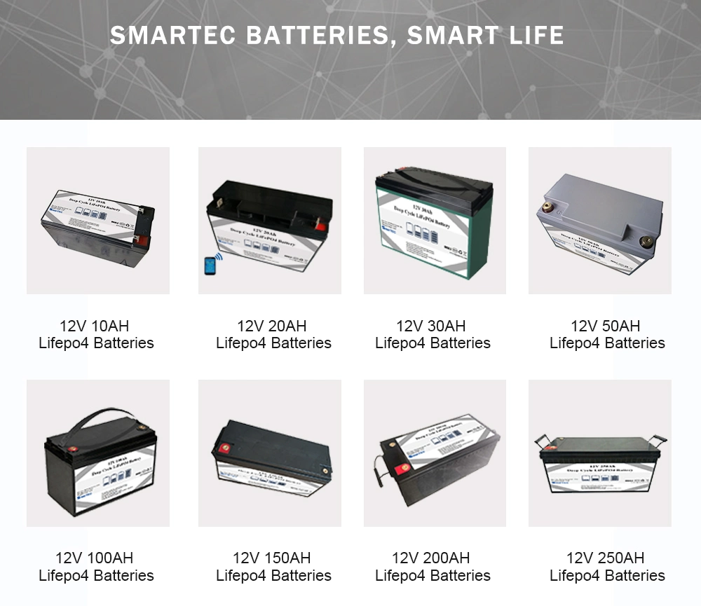 Factory Longer Lifespan 2000 Cycles OEM 16s LiFePO4 Pack 48V 20ah Lithium-Ion Battery for Golf Cart/Electric Bike/E-Bike Battery with Communication Functions